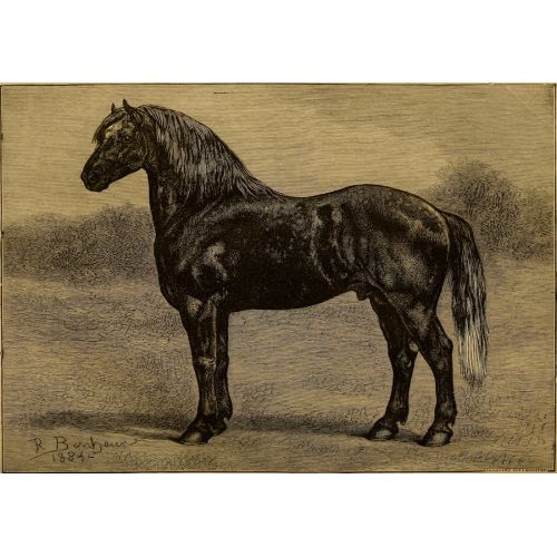 Rosa Bonheur, Percheron Atları Adası Ev Stok Çiftlik Grosse Ile Wayne Co Rosa Bonheur, Percheron Atları Adası Ev Stok Çiftlik Grosse Ile Wayne Co