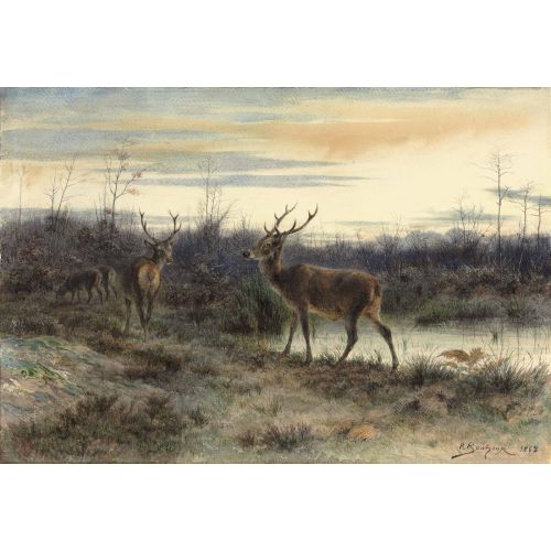 Rosa Bonheur, Deer In The Forest