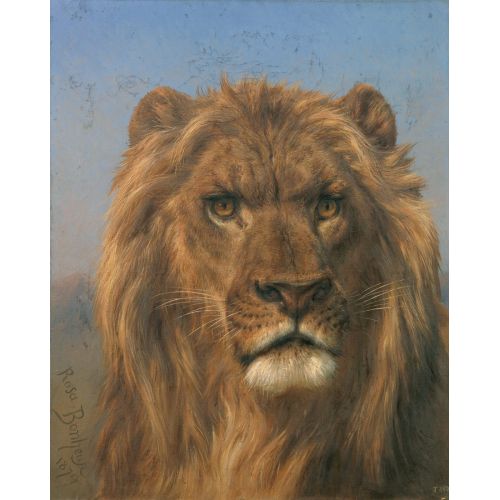Rosa Bonheur, Aslan Prado Portresi Rosa Bonheur, Aslan Prado Portresi