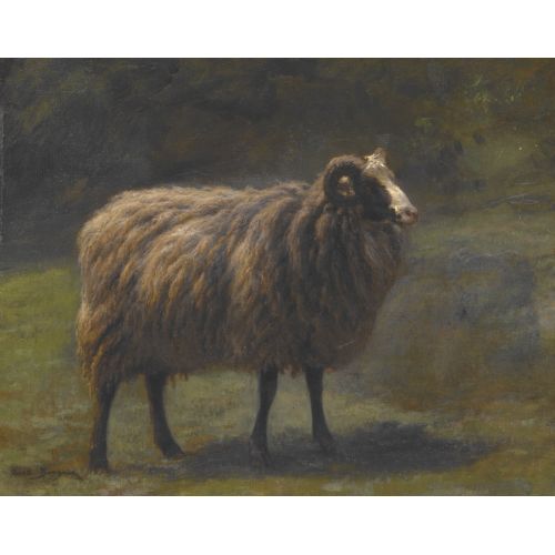 Rosa Bonheur, Koç Rosa Bonheur, Koç