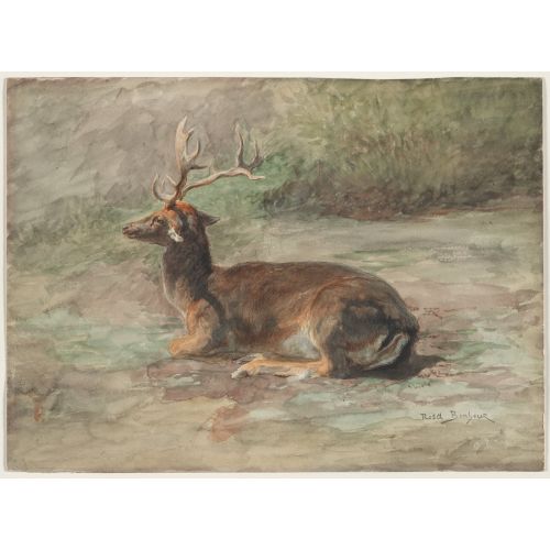 Rosa Bonheur, Yaslanmış Erkek Geyik Rosa Bonheur, Yaslanmış Erkek Geyik