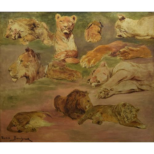 Rosa Bonheur, Aslanların Roubaix Çalışması Rosa Bonheur, Aslanların Roubaix Çalışması