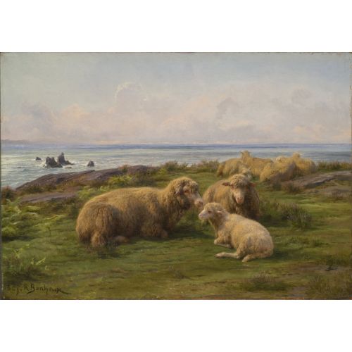 Rosa Bonheur, Deniz Koyun Rosa Bonheur, Deniz Koyun