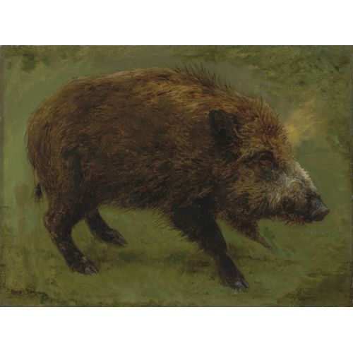 Rosa Bonheur, Yaban Domuzu Rosa Bonheur, Yaban Domuzu