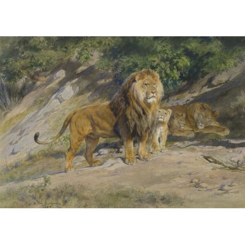 Rosa Bonheur, Kral İzliyor Rosa Bonheur, Kral İzliyor