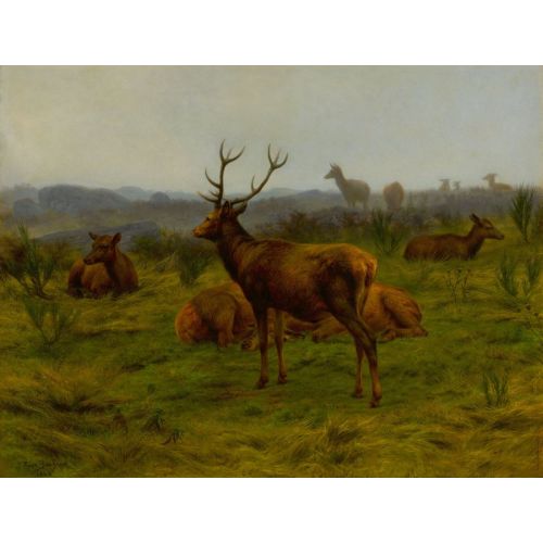 Rosa Bonheur, Sürünün Hükümdarı Rosa Bonheur, Sürünün Hükümdarı