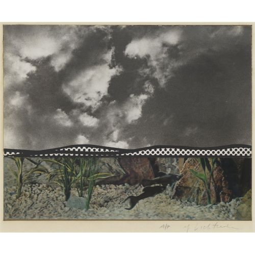 Roy Lichtenstein, Balık Ve Gökyüzü