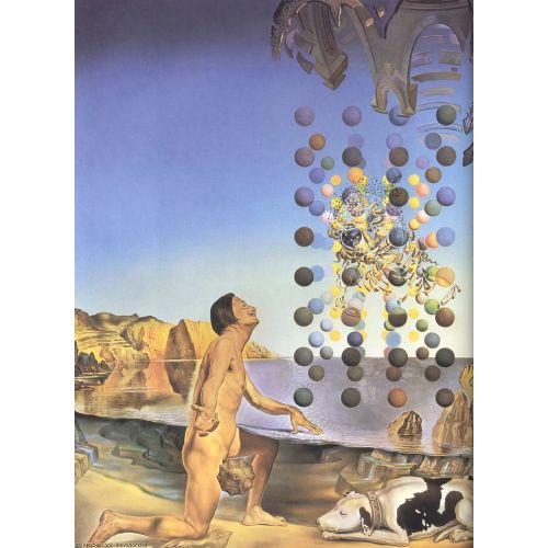 Salvador Dali, Dali Nude, In Contemplation Before The Five Regular Bodies