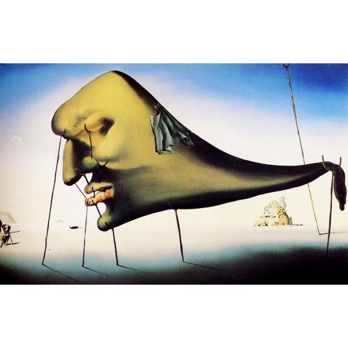 Salvador Dali, Uyku Salvador Dali, Uyku