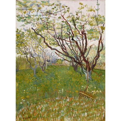Vincent Van Gogh, Blossoming Orchard