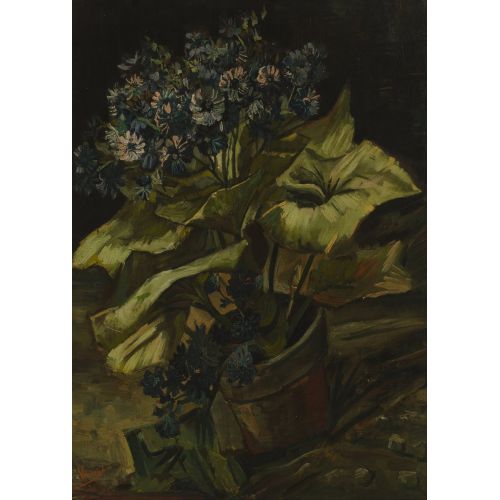 Vincent Van Gogh, Cineraria