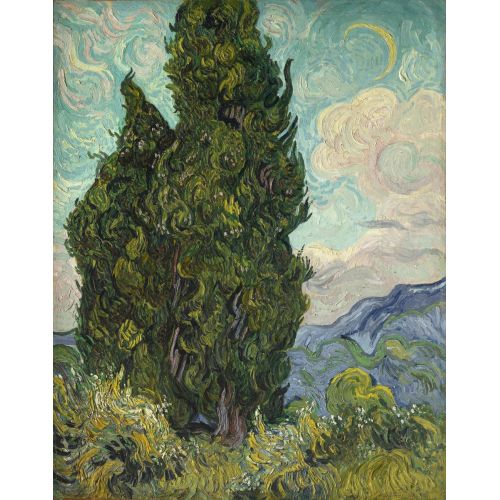 Vincent Van Gogh, Selvi