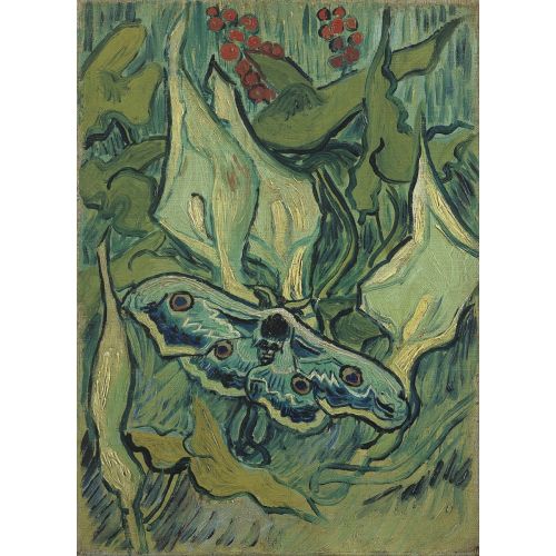 Vincent Van Gogh, İmparator Güve Vincent Van Gogh, İmparator Güve
