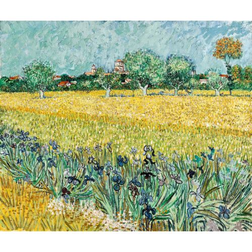 Vincent Van Gogh, Field With Flowers Near Arles
