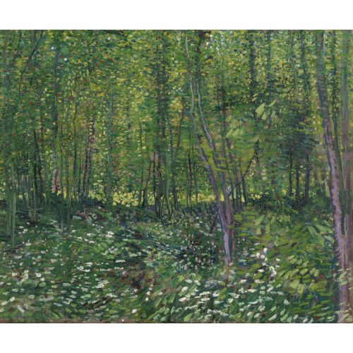 Vincent Van Gogh, Forest With Scrubland Vincent Van Gogh, Forest With Scrubland