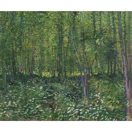 Vincent Van Gogh, Çalılık Arazi İle Orman Post Empresyonizm Vincent Van Gogh, Çalılık Arazi İle Orman Post Empresyonizm Sanat Akımları Vincent van Gogh, Çalılıklarla OrmanVincent