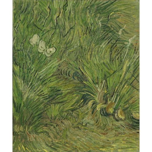 Vincent Van Gogh, Garden With Butterflies Vincent Van Gogh, Garden With Butterflies