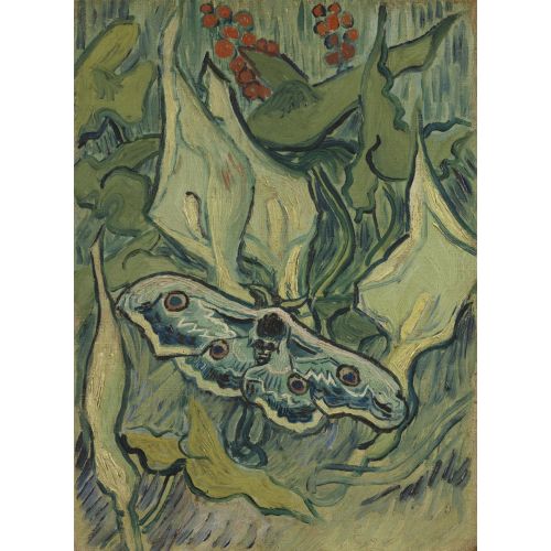 Vincent Van Gogh, Giant Peacock Moth Vincent Van Gogh, Giant Peacock Moth