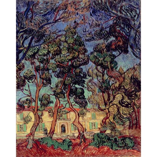 Vincent Van Gogh, Saint Remy'deki Hastane