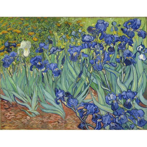 Vincent Van Gogh, Irises Vincent Van Gogh, Irises