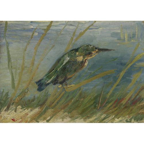 Vincent Van Gogh, Kingfisher Vincent Van Gogh, Kingfisher