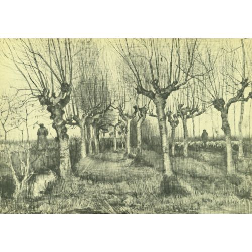 Vincent Van Gogh, Pollard Birches Vincent Van Gogh, Pollard Birches