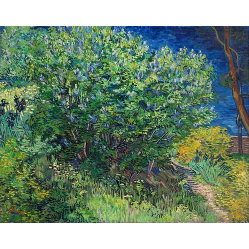 Vincent Van Gogh, Lilacs Bush Vincent Van Gogh, Lilacs Bush