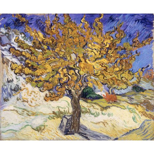 Vincent Van Gogh, Maulbeerbaum Vincent Van Gogh, Maulbeerbaum