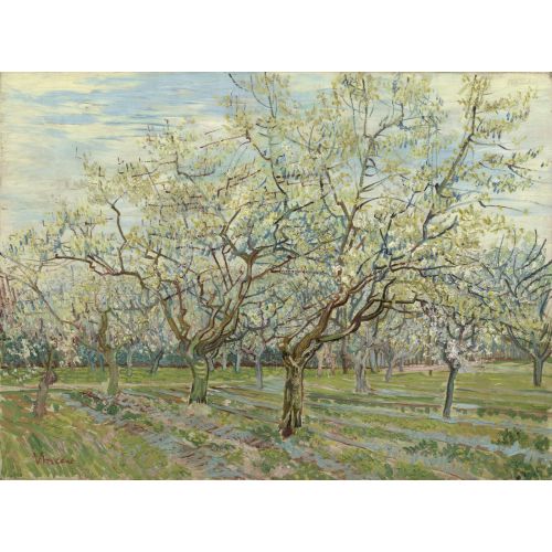 Vincent Van Gogh, Beyaz Çiçekli Meyve Bahçesi