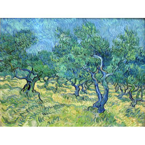 Vincent Van Gogh, Zeytin Bahçesi