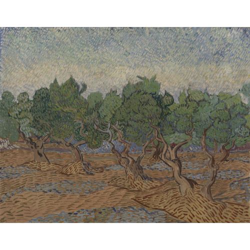 Vincent Van Gogh, Zeytinlik Vincent Van Gogh, Zeytinlik
