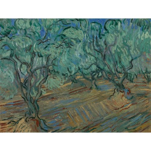 Vincent Van Gogh, Zeytinlik Vincent Van Gogh, Zeytinlik