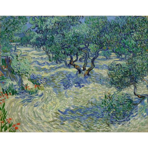 Vincent Van Gogh, Zeytin Bahçesi Vincent Van Gogh, Zeytin Bahçesi