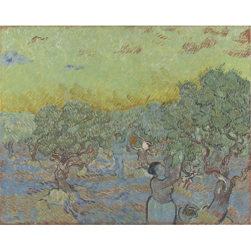 Vincent Van Gogh, Zeytin Toplama Vincent Van Gogh, Zeytin Toplama