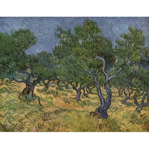 Vincent Van Gogh, Zeytin Ağaçları 1889
