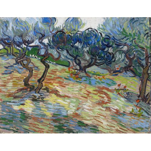 Vincent Van Gogh, Olive Trees Vincent Van Gogh, Olive Trees