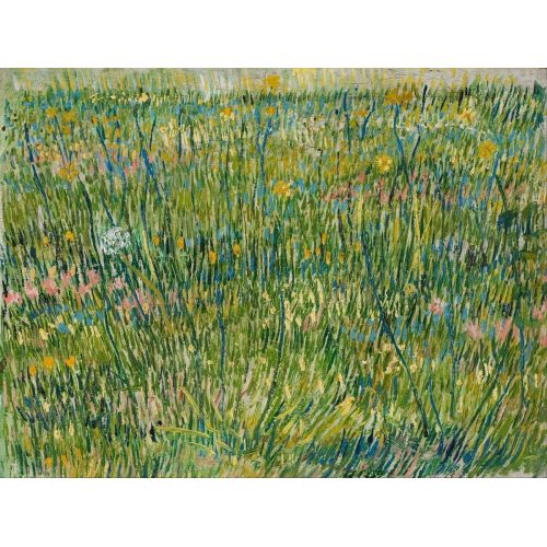 Vincent Van Gogh, Patch Of Grass Vincent Van Gogh, Patch Of Grass