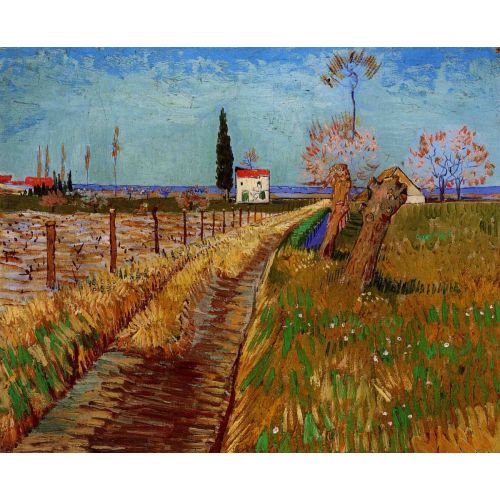 Vincent Van Gogh, Path Through A Meadow With Pastures Vincent Van Gogh, Path Through A Meadow With Pastures