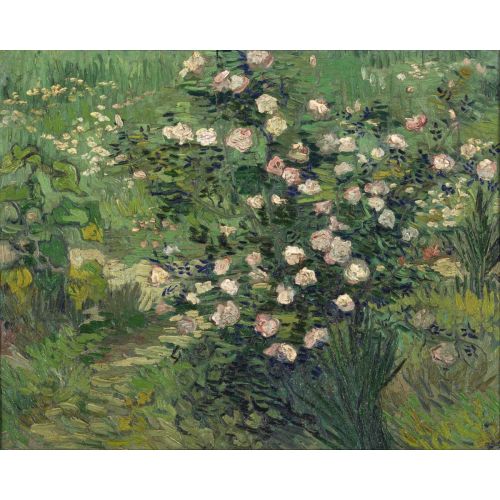 Vincent Van Gogh, Roses II Vincent Van Gogh, Roses II