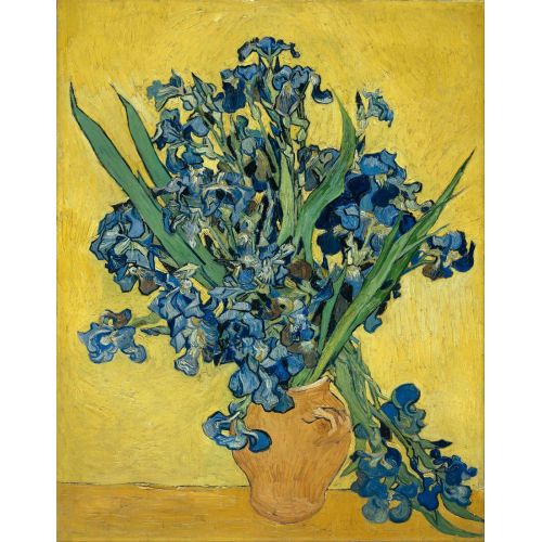 Vincent Van Gogh, İrisler 2 Post Empresyonizm Sanat Akımları Vincent Van Gogh İrisler 2“İrisler” Vincent van Goghun en