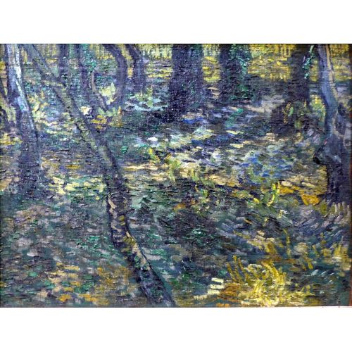 Vincent Van Gogh, Ağaç Altında Büyüyen Çalılar, St Remy