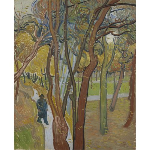 Vincent Van Gogh, The Garden Of Saint Paul's Hospital