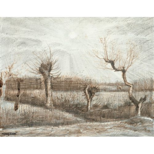Vincent Van Gogh, Tetards Vincent Van Gogh, Tetards