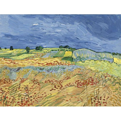 Vincent Van Gogh, The Fields
