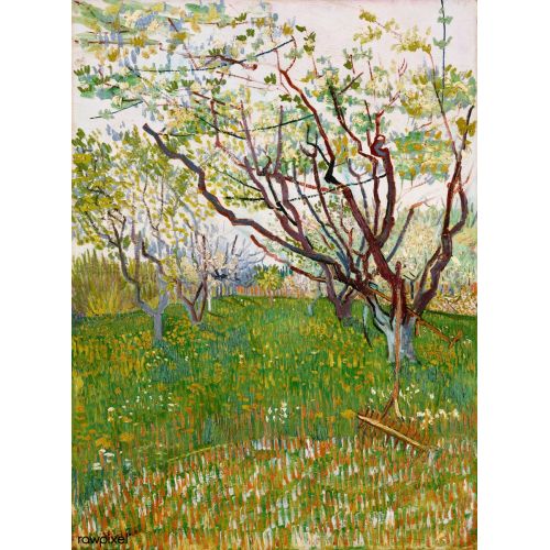 Vincent Van Gogh, The Flowering Orchard