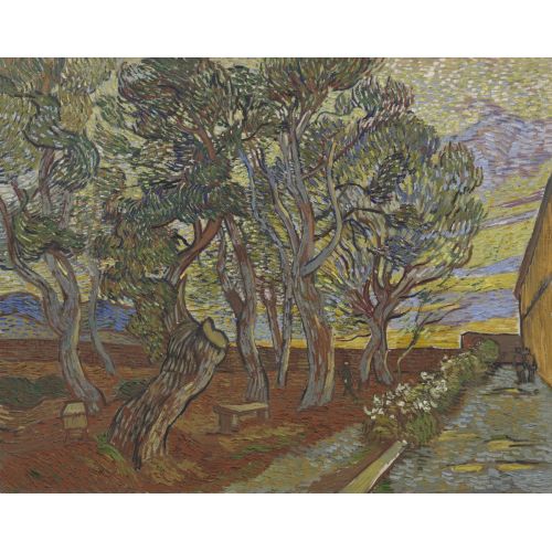 Vincent Van Gogh, The Garden Of Saint Paul's Hospital