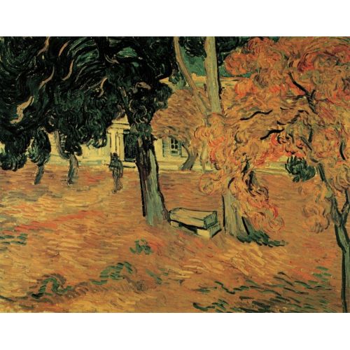Vincent Van Gogh, The Garden Of Saint Paul's Hospital