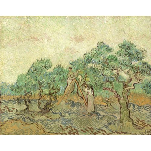 Vincent Van Gogh, Zeytin Bahçesi Vincent Van Gogh, Zeytin Bahçesi