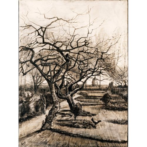 Vincent Van Gogh, The Parsonage Garden At Nuenen In Winter Vincent Van Gogh, The Parsonage Garden At Nuenen In Winter