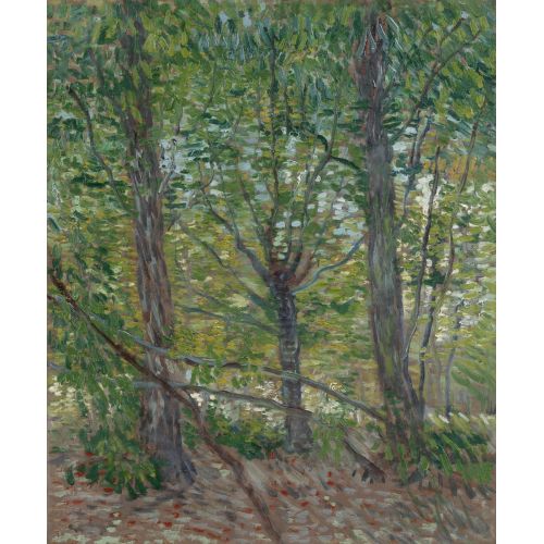 Vincent Van Gogh, Ağaçlar